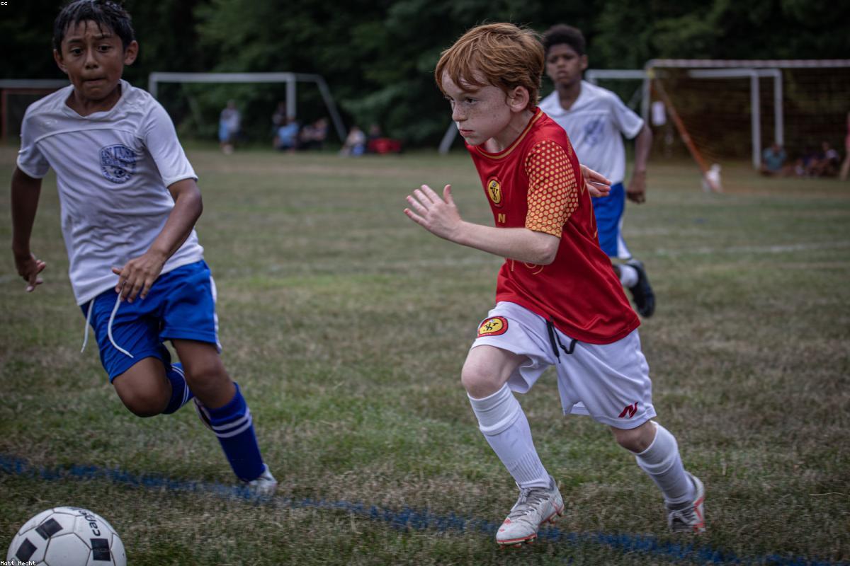 世界杯非洲区预选赛资讯：预选赛速读与常见问题（第33期）